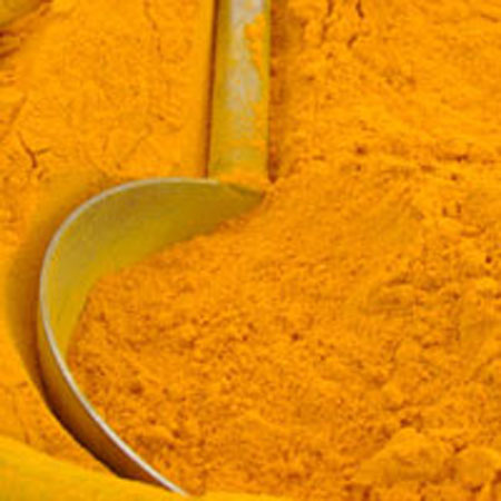 Manufacturers Exporters and Wholesale Suppliers of Turmeric Powder Kolkata West Bengal