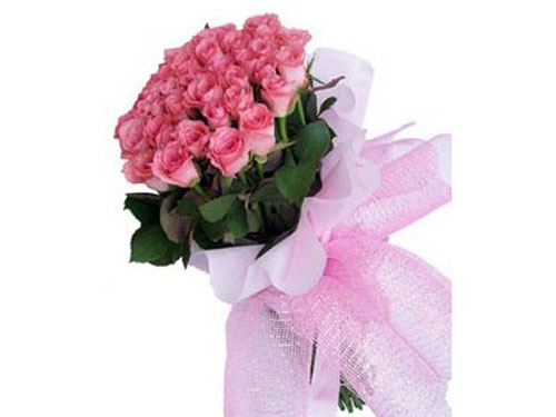 Manufacturers Exporters and Wholesale Suppliers of Bunch of 12 Pink Roses New Delhi Delhi