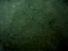 Manufacturers Exporters and Wholesale Suppliers of Green Granite Makrana Rajasthan