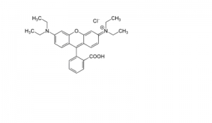 RHODAMINE B Manufacturer Supplier Wholesale Exporter Importer Buyer Trader Retailer in Palghar Maharashtra India