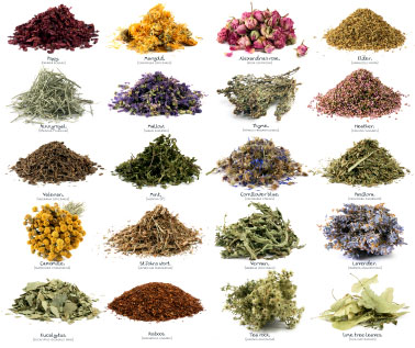Herbs Manufacturer Supplier Wholesale Exporter Importer Buyer Trader Retailer in New Delhi Delhi India