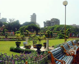 Manufacturers Exporters and Wholesale Suppliers of Hanging Garden New Delhi Delhi