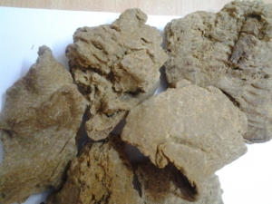 Manufacturers Exporters and Wholesale Suppliers of Moringa Oil Cake Tuticorin Tamil Nadu