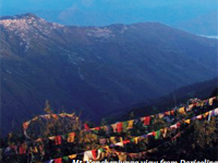 Manufacturers Exporters and Wholesale Suppliers of PEMAYANGTSE New Delhi Delhi