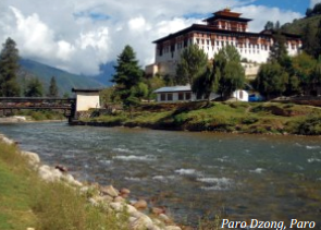 PARO