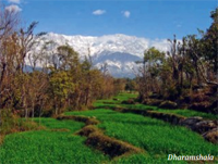 Manufacturers Exporters and Wholesale Suppliers of DHARAMSHALA New Delhi Delhi