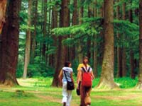 Manufacturers Exporters and Wholesale Suppliers of MANALI New Delhi Delhi
