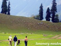 Manufacturers Exporters and Wholesale Suppliers of KARGIL New Delhi Delhi