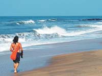 Manufacturers Exporters and Wholesale Suppliers of GOA New Delhi Delhi