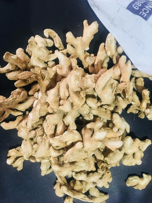 Manufacturers Exporters and Wholesale Suppliers of Dry Ginger Tuticorin Tamil Nadu
