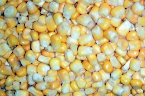 Corn Kernel