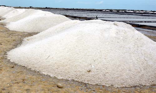 Raw Salt