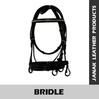 Bridle Br002