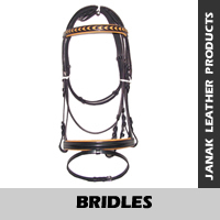 Bridle Br 022