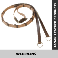 Manufacturers Exporters and Wholesale Suppliers of WEB REINS Kanpur Uttar Pradesh