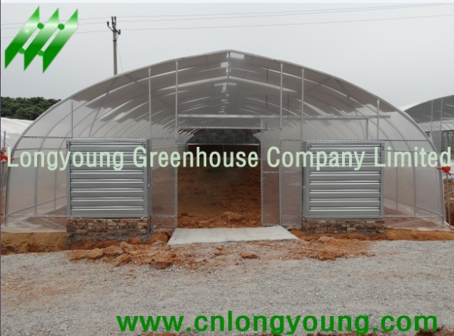 Economical Tunnel Greenhouse Manufacturer Supplier Wholesale Exporter Importer Buyer Trader Retailer in xiamen  China