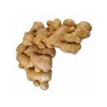 Manufacturers Exporters and Wholesale Suppliers of Fresh Ginger Nagaon Assam