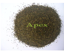 Manufacturers Exporters and Wholesale Suppliers of Green Tea Jaipur Rajasthan