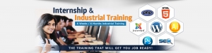 Service Provider of Web Development Training Chandigarh chandigarh Punjab 