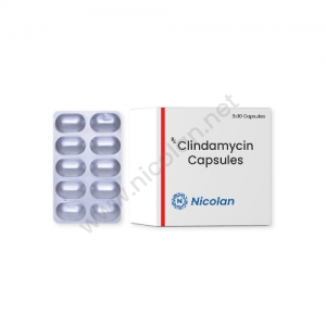Manufacturers Exporters and Wholesale Suppliers of Clindamycin Mumbai Maharashtra