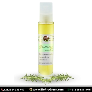 Rosemary perfumes Manufacturer Supplier Wholesale Exporter Importer Buyer Trader Retailer in African Other 