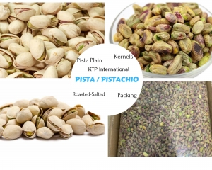 Pista (Pistachio) Manufacturer Supplier Wholesale Exporter Importer Buyer Trader Retailer in Rajkot Gujarat India