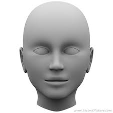 Manufacturers Exporters and Wholesale Suppliers of Head Agra Uttar Pradesh