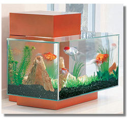 Aquariums