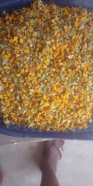 Manufacturers Exporters and Wholesale Suppliers of Avarampoo Tuticorin Tamil Nadu