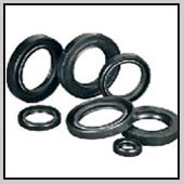 Oil Seals