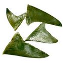 Blacktip Shark Fins