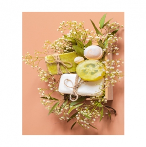 Manufacturers Exporters and Wholesale Suppliers of MEDICATED SOAPS Ahmedabad Gujarat