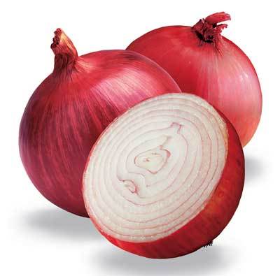Red Onion Manufacturer Supplier Wholesale Exporter Importer Buyer Trader Retailer in Argentina  Argentina