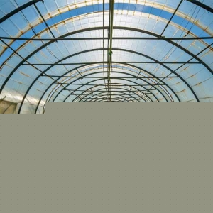 Greenhouse film Manufacturer Supplier Wholesale Exporter Importer Buyer Trader Retailer in Tehran/Iran  Iran