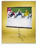 Manufacturers Exporters and Wholesale Suppliers of Tripod Screen Mumbai Maharashtra