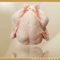 Frozen Chicken Meat
