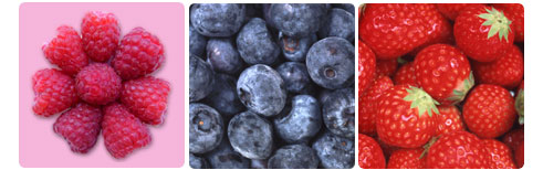 Fruits And Vegetables
