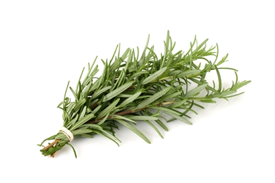 Herbs Manufacturer Supplier Wholesale Exporter Importer Buyer Trader Retailer in Nasr city  Egypt