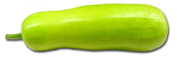 Manufacturers Exporters and Wholesale Suppliers of Bottle Gourd Karachi Meghalaya