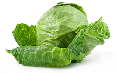 Manufacturers Exporters and Wholesale Suppliers of Cabbage Karachi Meghalaya