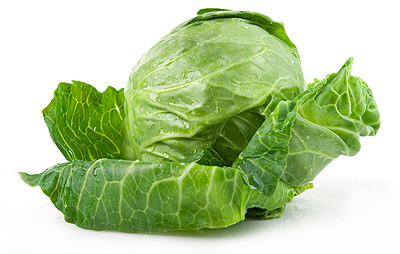 Cabbage