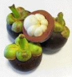 Mangosteen Extract