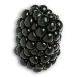 Berries Manufacturer Supplier Wholesale Exporter Importer Buyer Trader Retailer in Holland Avenue  Singapore