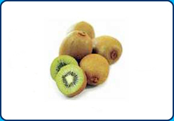 Kiwi Fruits Manufacturer Supplier Wholesale Exporter Importer Buyer Trader Retailer in Holland Avenue  Singapore