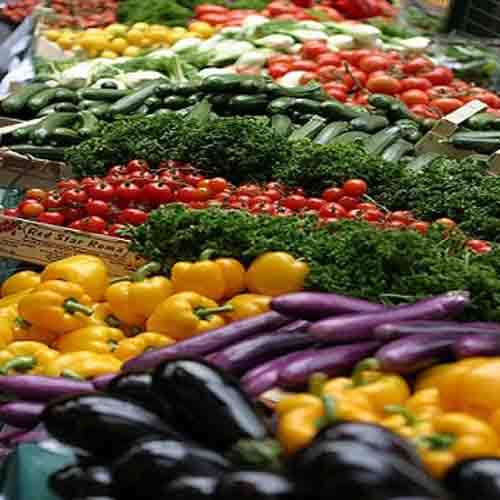 Fresh Vegetables Manufacturer Supplier Wholesale Exporter Importer Buyer Trader Retailer in Holland Avenue  Singapore