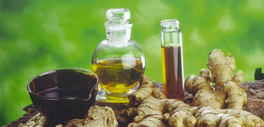 Essential Oils Manufacturer Supplier Wholesale Exporter Importer Buyer Trader Retailer in Gujarat  India