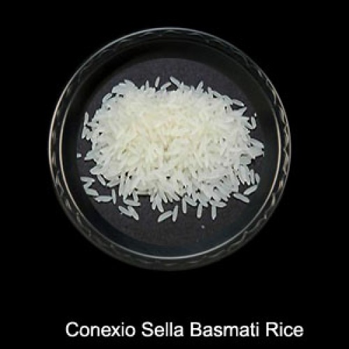 Manufacturers Exporters and Wholesale Suppliers of Creamy Sella Basmati Rice PULIYAMPEDU Maharashtra