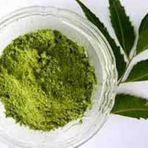 Manufacturers Exporters and Wholesale Suppliers of Neem Powder Sojat Rajasthan