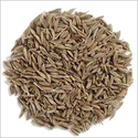 Cumin Seeds