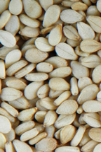 Manufacturers Exporters and Wholesale Suppliers of White Sesame Seeds DELHI Delhi